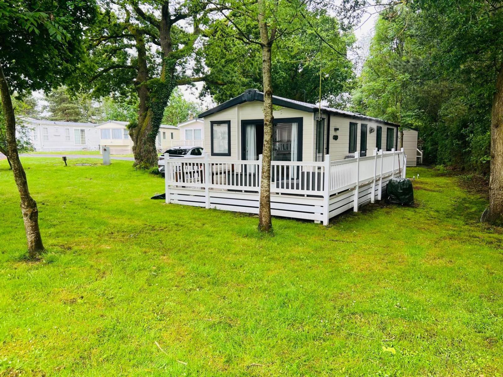 Marigold Lodge 8 At Oakdene Forest Park Saint Leonards Eksteriør bilde