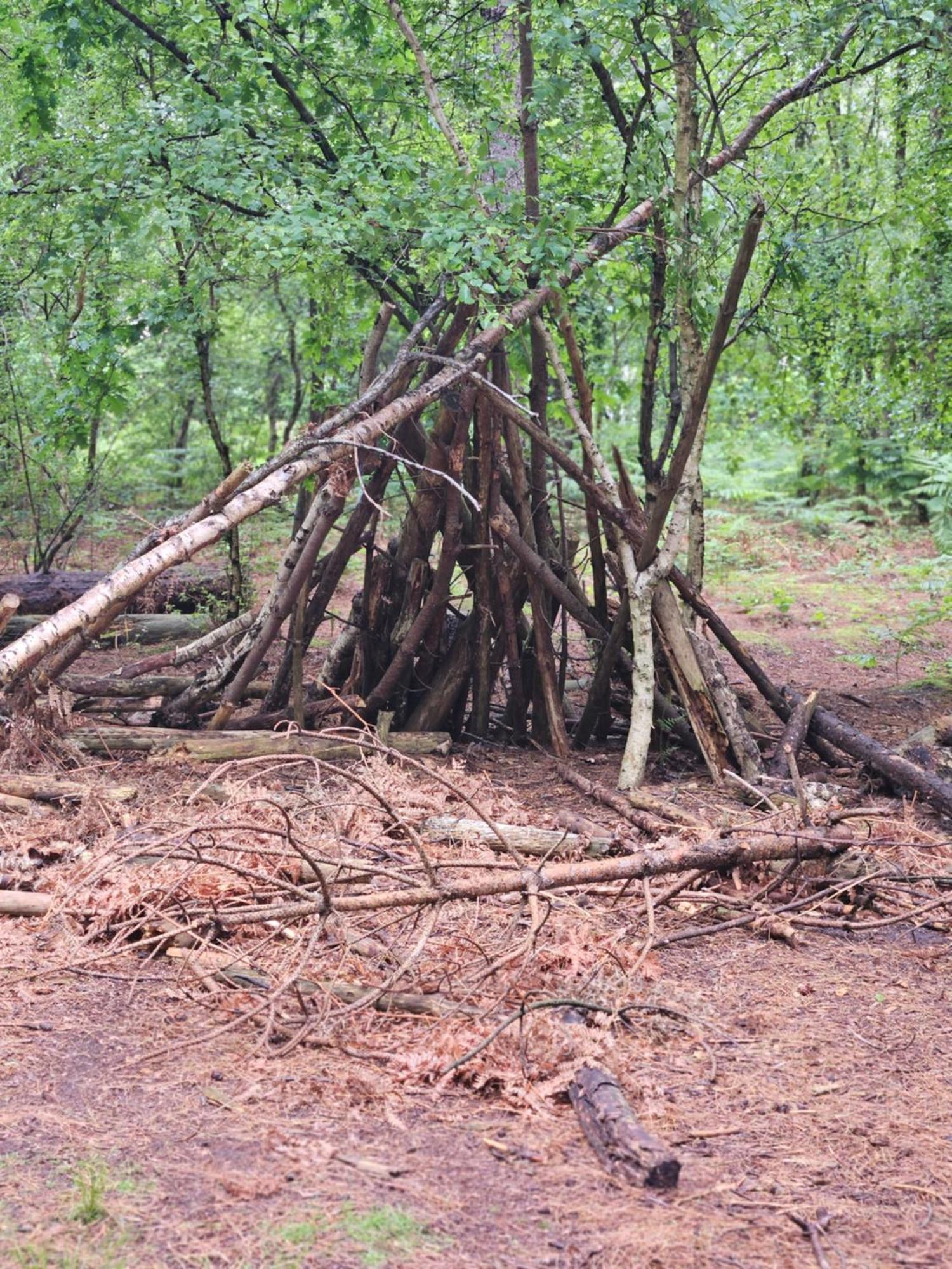 Marigold Lodge 8 At Oakdene Forest Park Saint Leonards Eksteriør bilde